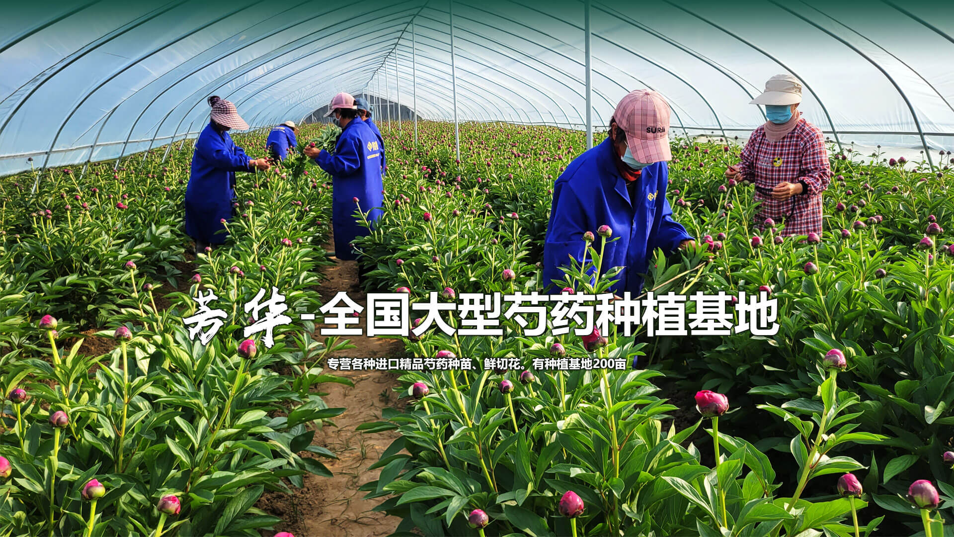 精益制造  細節完美